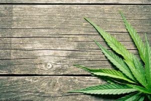Cannabis Doctors - pre-approved
