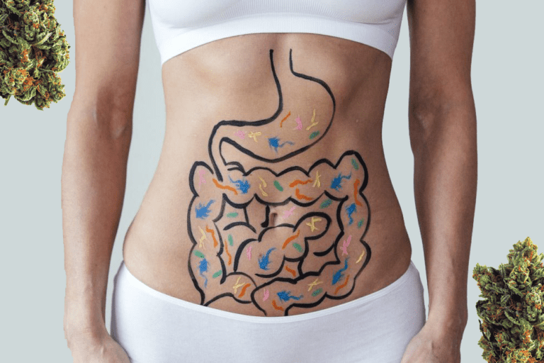 Help Your Gut Heal: Everything You Should Know about Cannabis and IBS